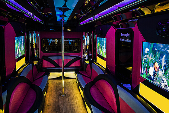 24-pass pink limo bus interior