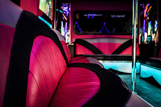 24-passenger pink bus interior view