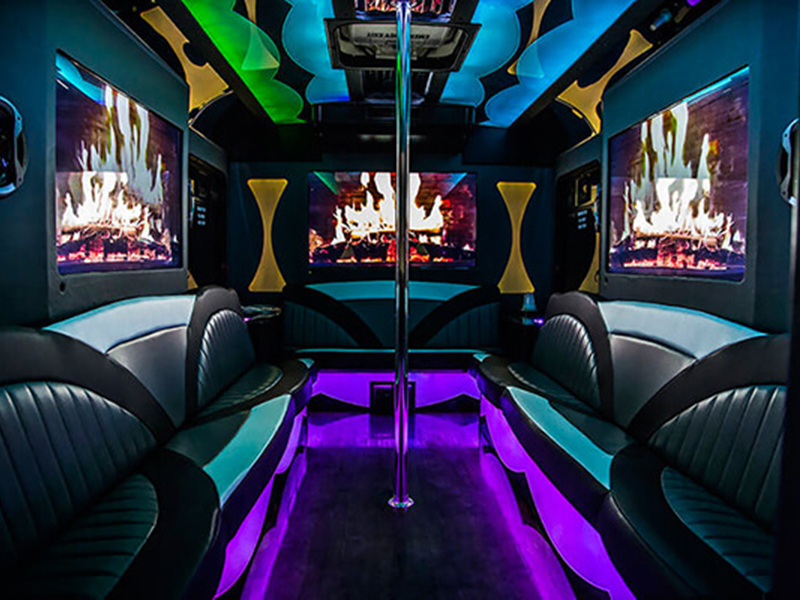 Grand Rapids party bus with great sound system 